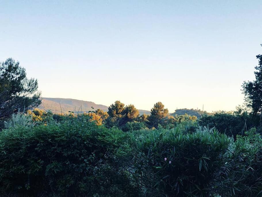 Entre Ventoux Et Luberon, Appartement Dans Maison. Malemort-du-Comtat Dış mekan fotoğraf