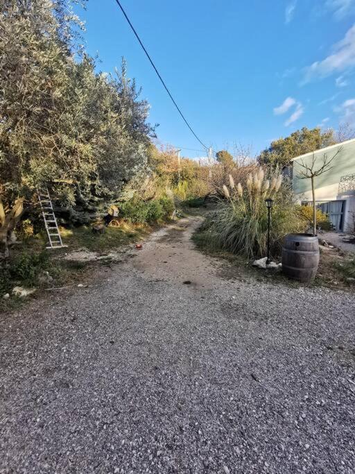 Entre Ventoux Et Luberon, Appartement Dans Maison. Malemort-du-Comtat Dış mekan fotoğraf